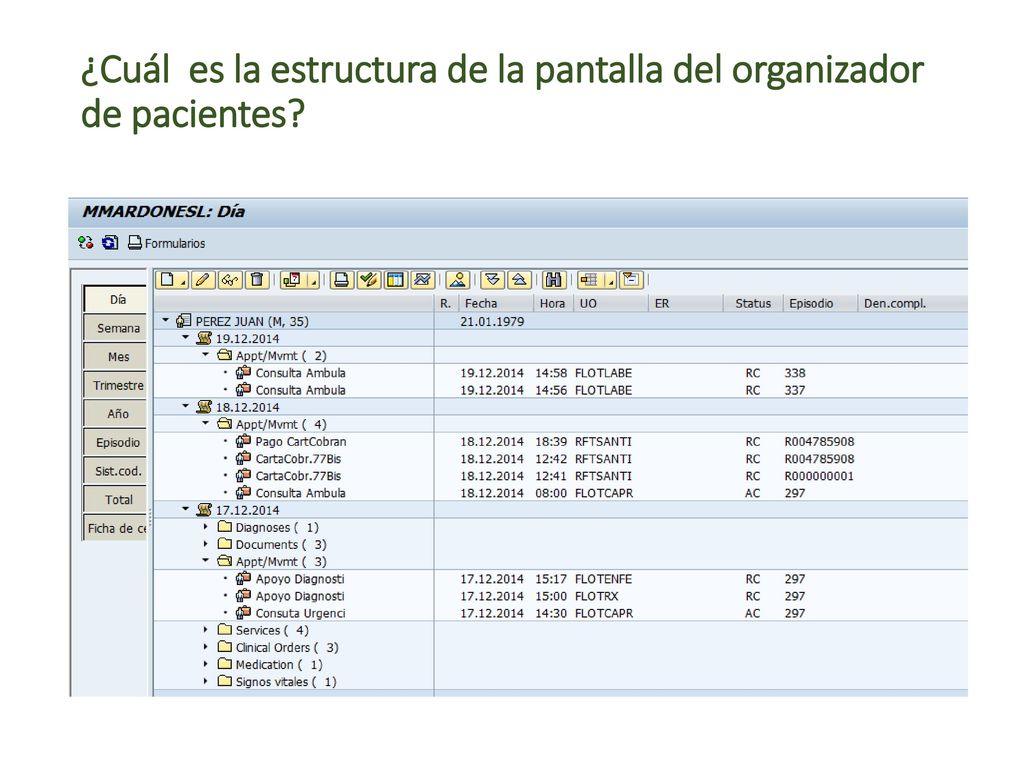 ¿Cuál es la estructura de la pantalla del organizador de pacientes