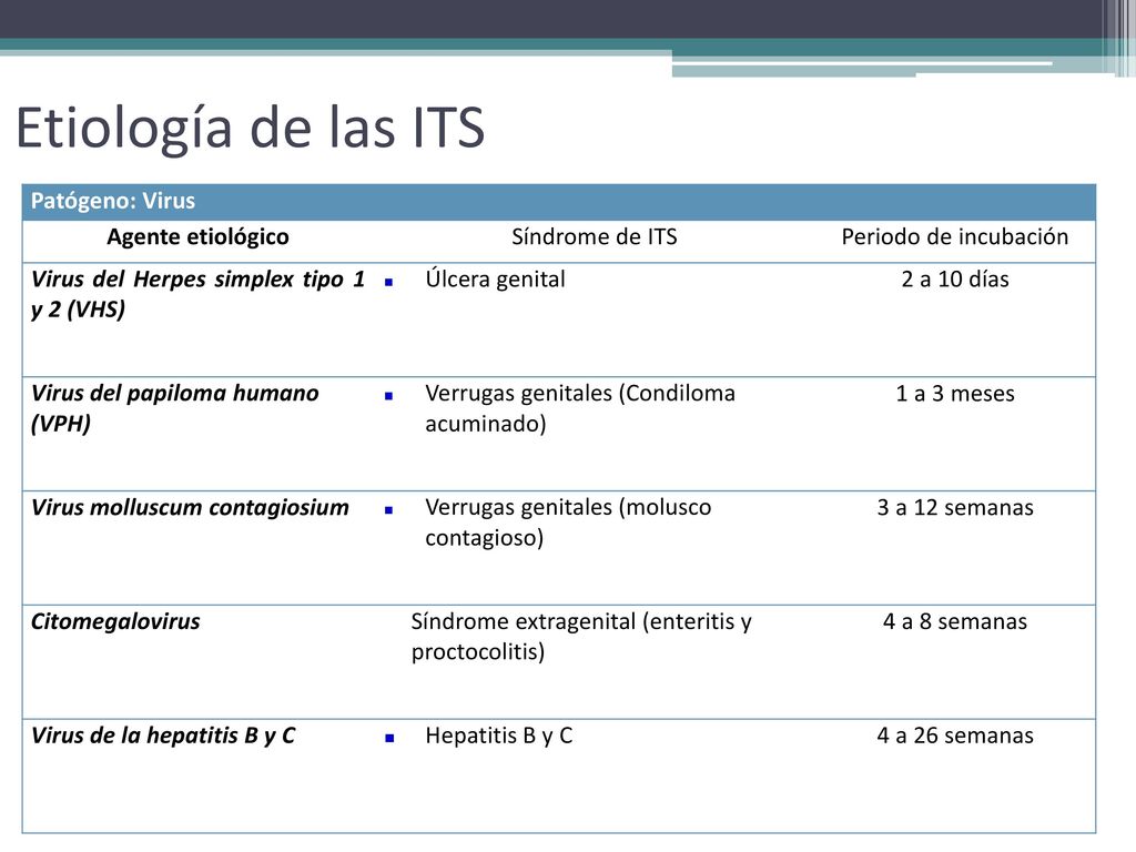 Etiología de las ITS Patógeno: Virus Agente etiológico Síndrome de ITS