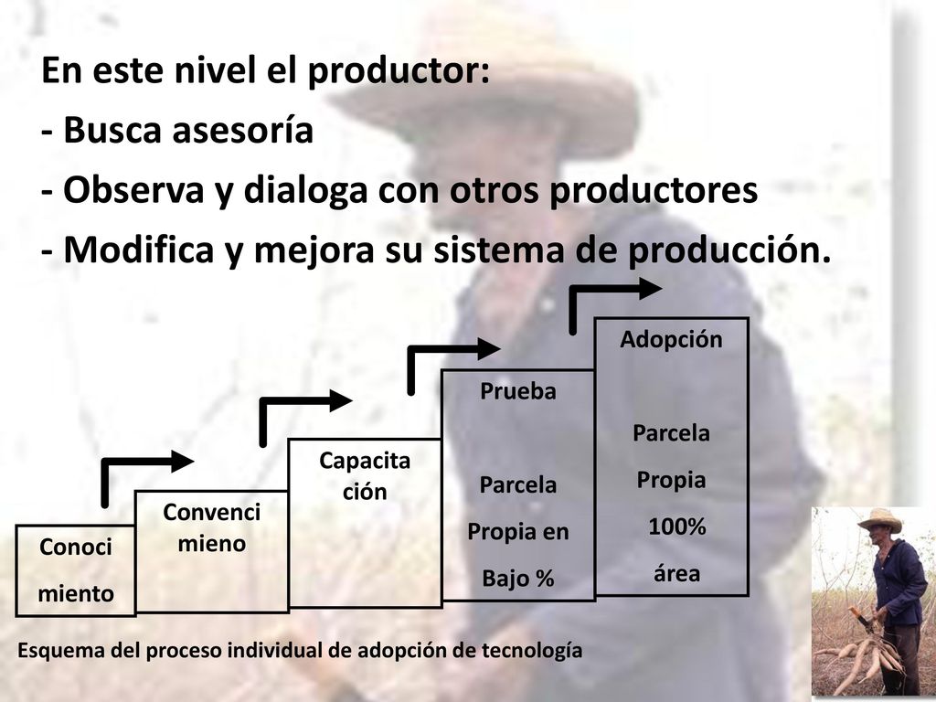 En este nivel el productor: - Busca asesoría - Observa y dialoga con otros productores - Modifica y mejora su sistema de producción.