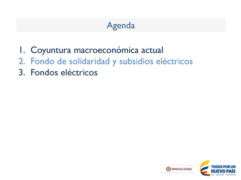 Agenda Coyuntura macroeconómica actual. Fondo de solidaridad y subsidios eléctricos.
