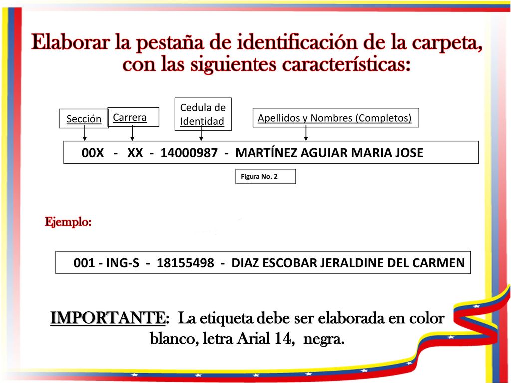 Elaborar la pestaña de identificación de la carpeta, con las siguientes características: