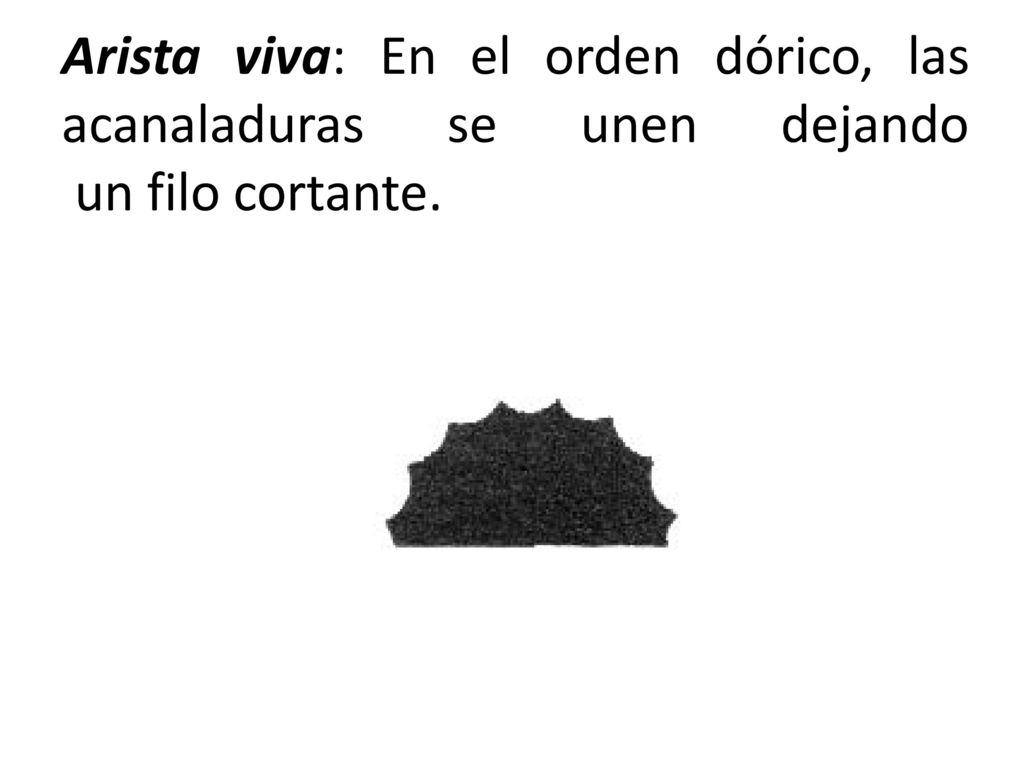 Arista viva: En el orden dórico, las acanaladuras se unen dejando un filo cortante.