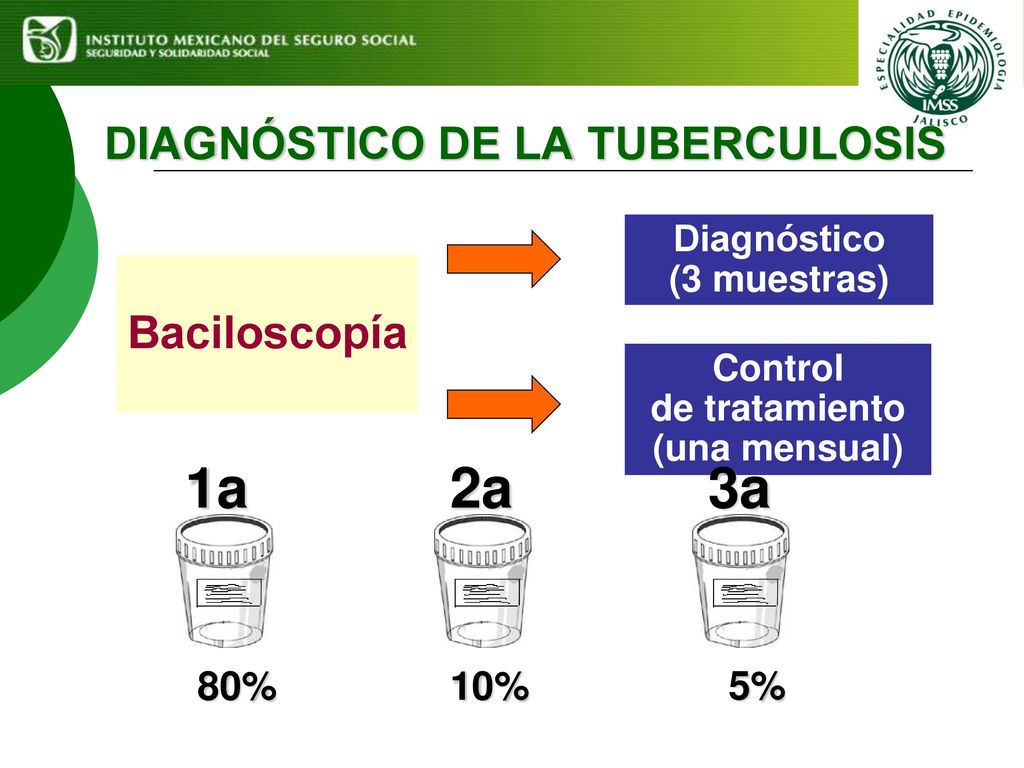 1a 2a 3a DIAGNÓSTICO DE LA TUBERCULOSIS Baciloscopía 80% 10% 5%