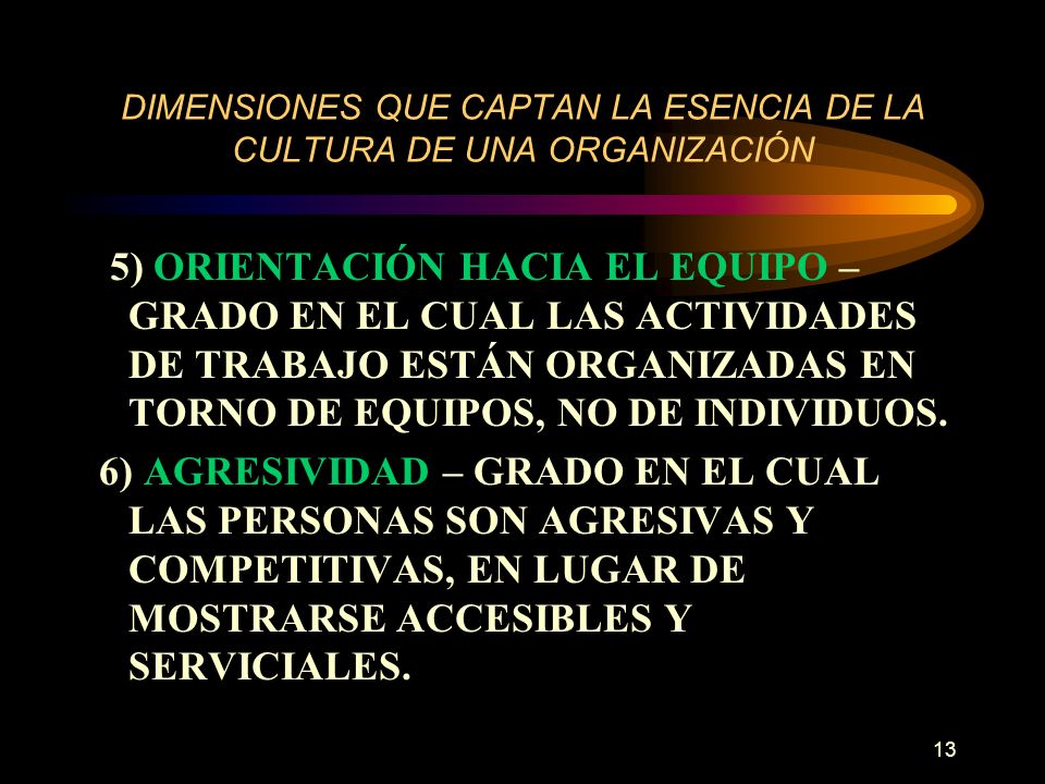 DIMENSIONES QUE CAPTAN LA ESENCIA DE LA CULTURA DE UNA ORGANIZACIÓN