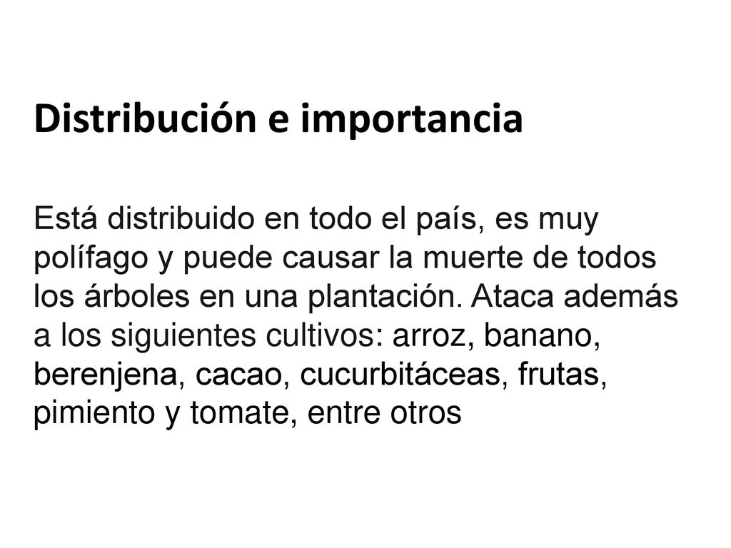 Distribución e importancia Está distribuido en todo el país, es muy polífago y puede causar la muerte de todos los árboles en una plantación.