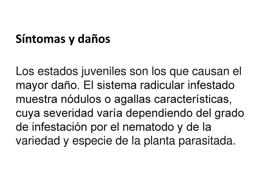 Síntomas y daños Los estados juveniles son los que causan el mayor daño.