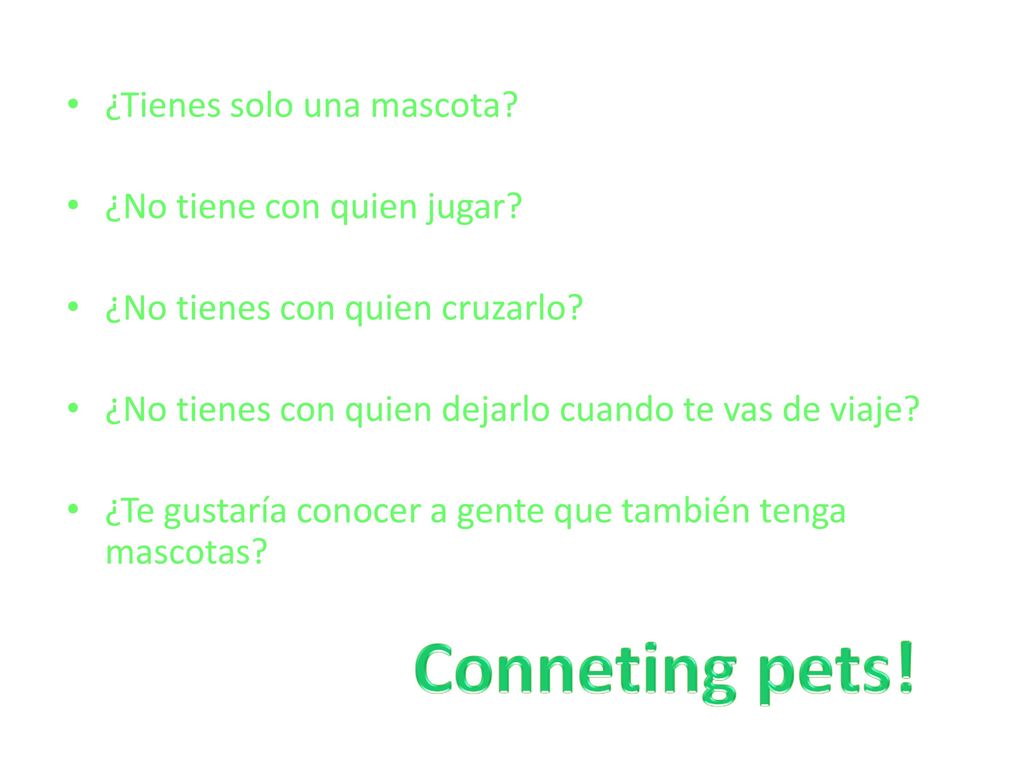 Conneting pets! ¿Tienes solo una mascota ¿No tiene con quien jugar