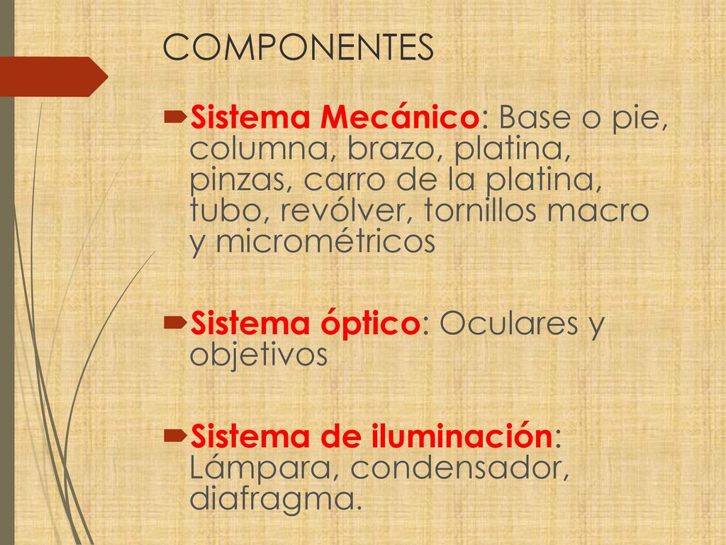 COMPONENTES Sistema Mecánico: Base o pie, columna, brazo, platina, pinzas, carro de la platina, tubo, revólver, tornillos macro y micrométricos.