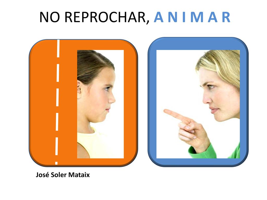 NO REPROCHAR, A N I M A R José Soler Mataix