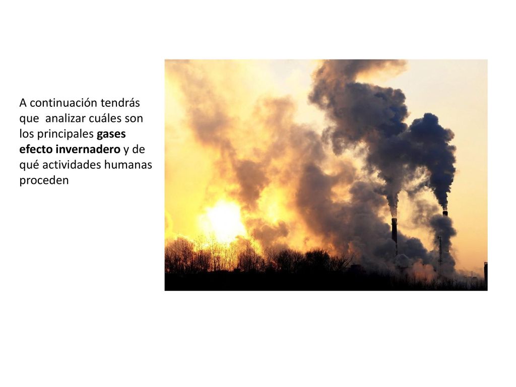 A continuación tendrás que analizar cuáles son los principales gases efecto invernadero y de qué actividades humanas proceden
