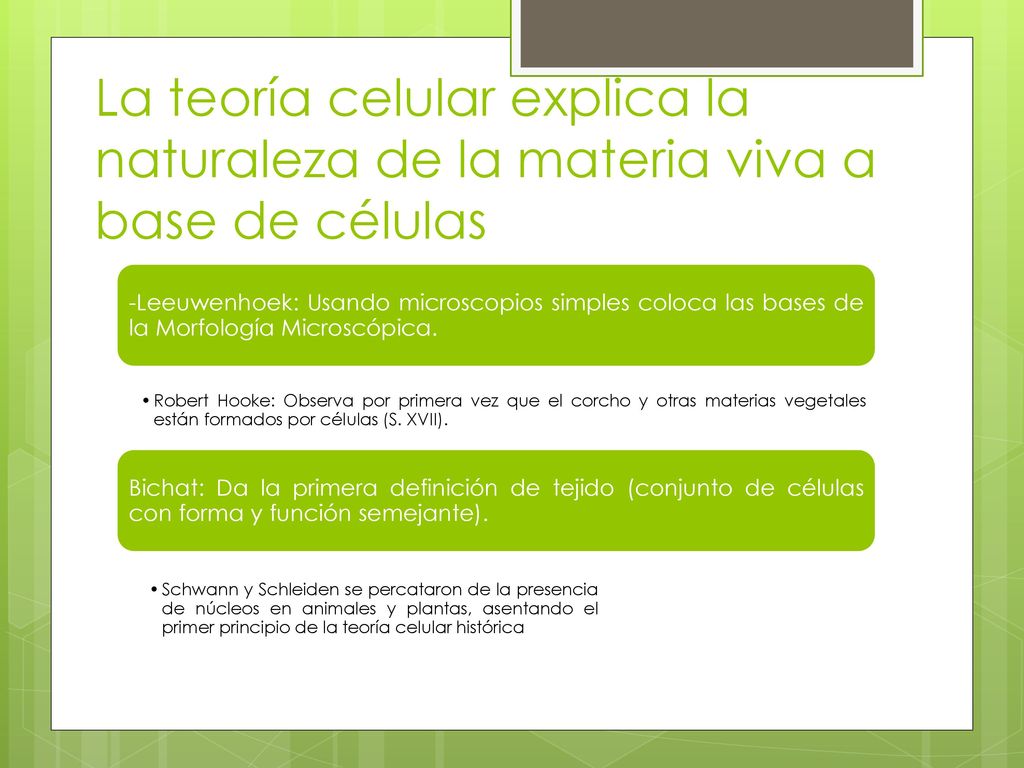 La teoría celular explica la naturaleza de la materia viva a base de células