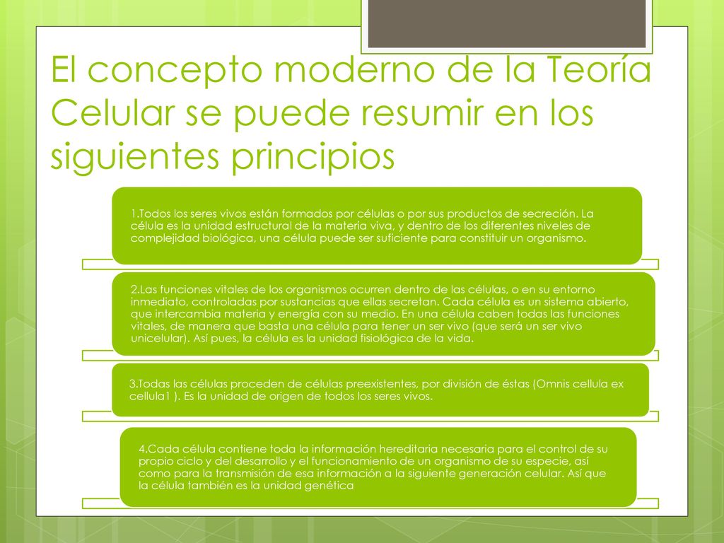El concepto moderno de la Teoría Celular se puede resumir en los siguientes principios