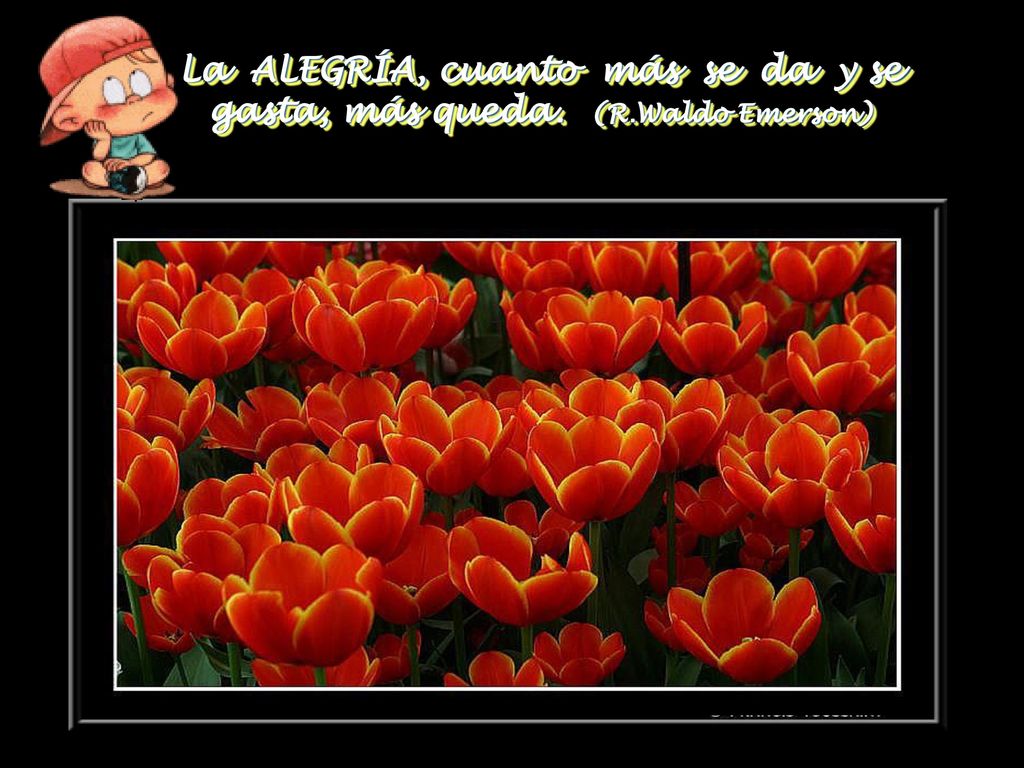La ALEGRÍA, cuanto más se da y se gasta, más queda. (R.Waldo Emerson)