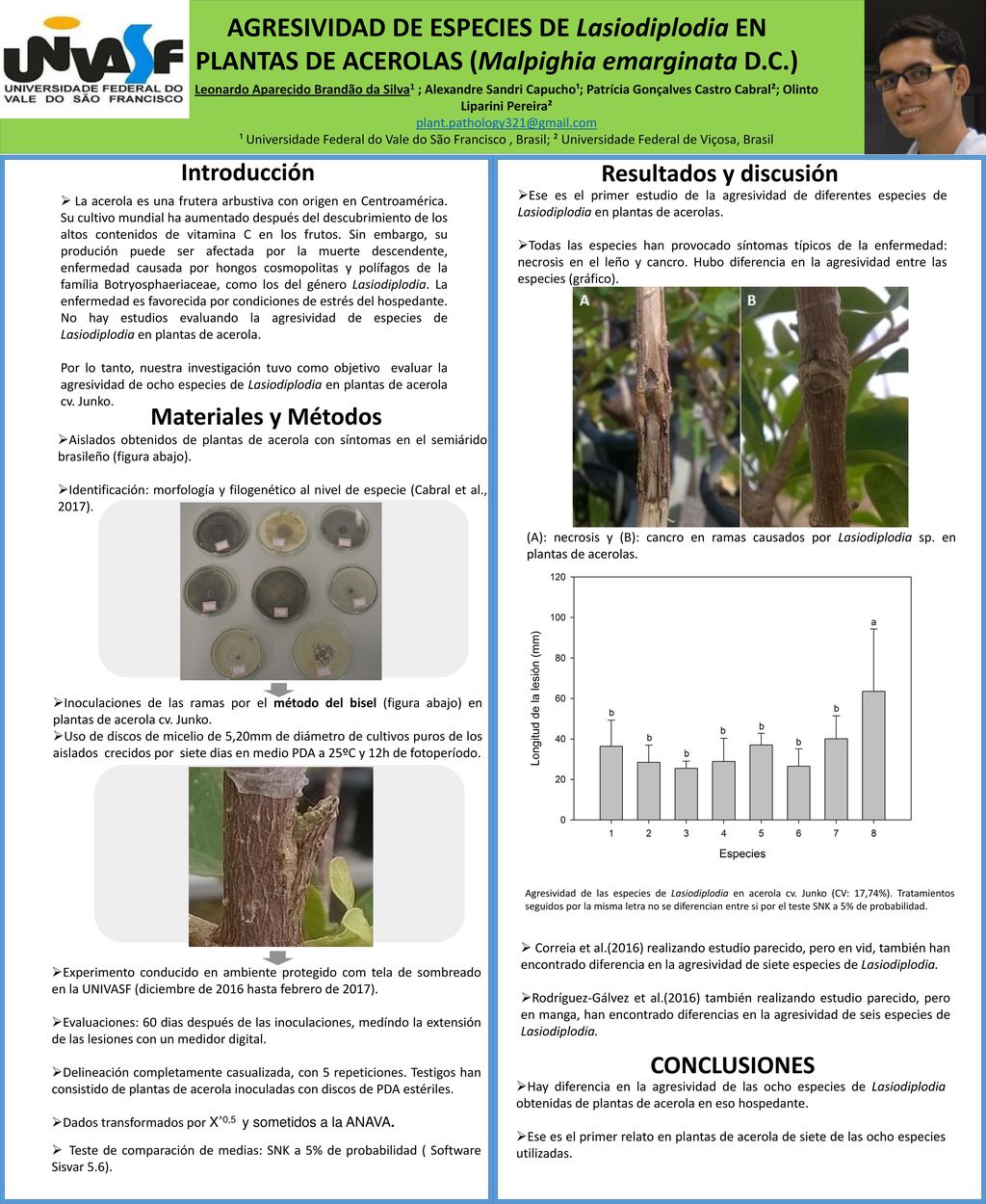 AGRESIVIDAD DE ESPECIES DE Lasiodiplodia EN PLANTAS DE ACEROLAS (Malpighia emarginata D.C.)