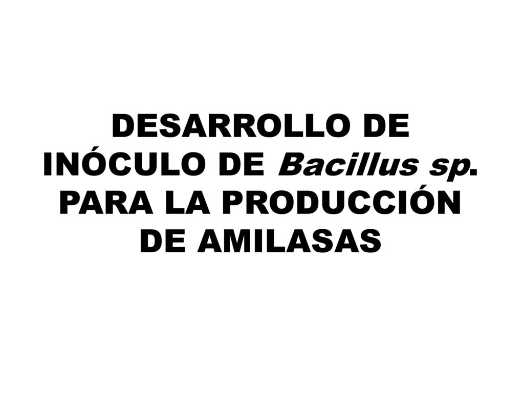 DESARROLLO DE INÓCULO DE Bacillus sp. PARA LA PRODUCCIÓN DE AMILASAS