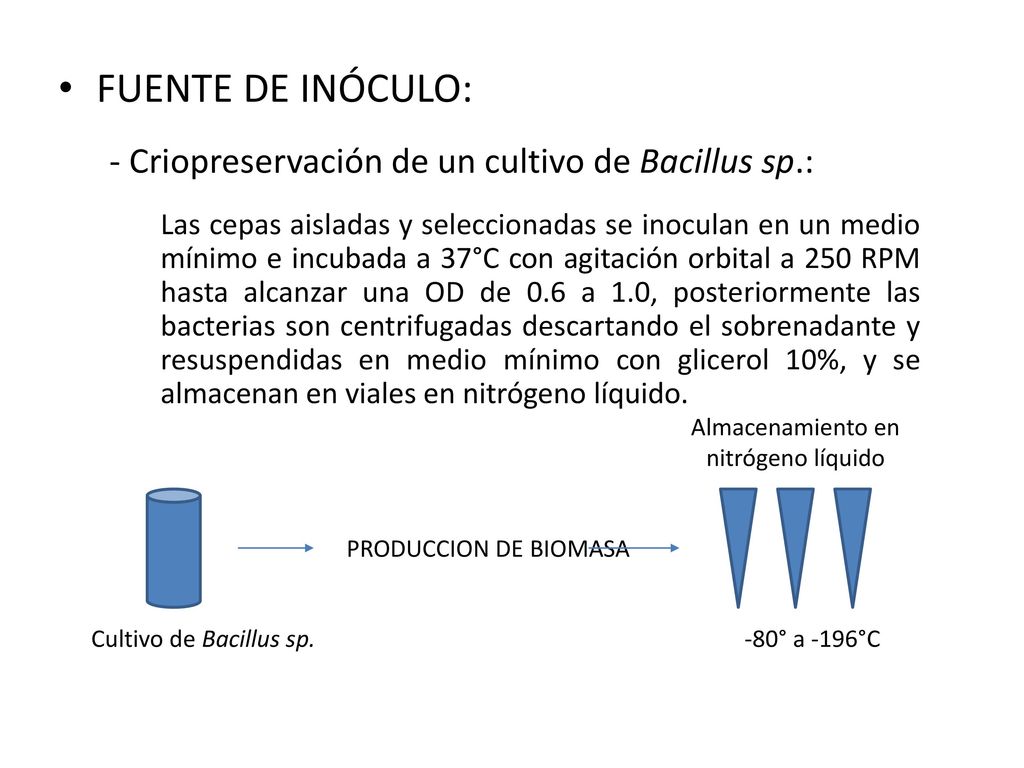 FUENTE DE INÓCULO: - Criopreservación de un cultivo de Bacillus sp.: