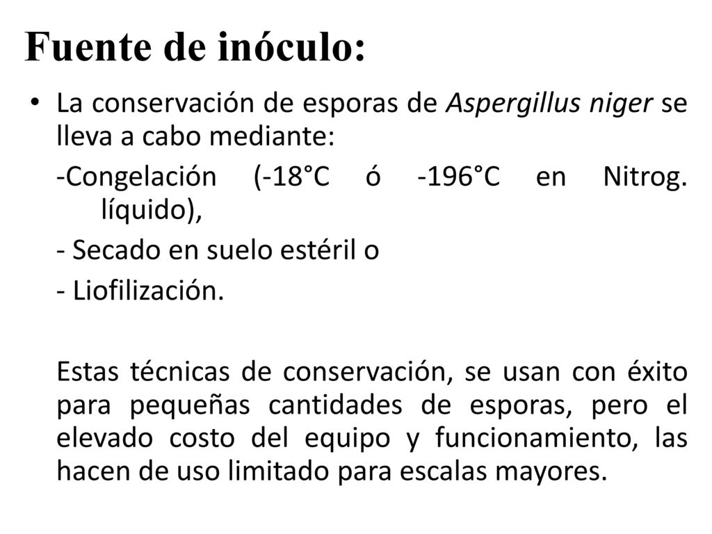 Fuente de inóculo: La conservación de esporas de Aspergillus niger se lleva a cabo mediante: -Congelación (-18°C ó -196°C en Nitrog. líquido),