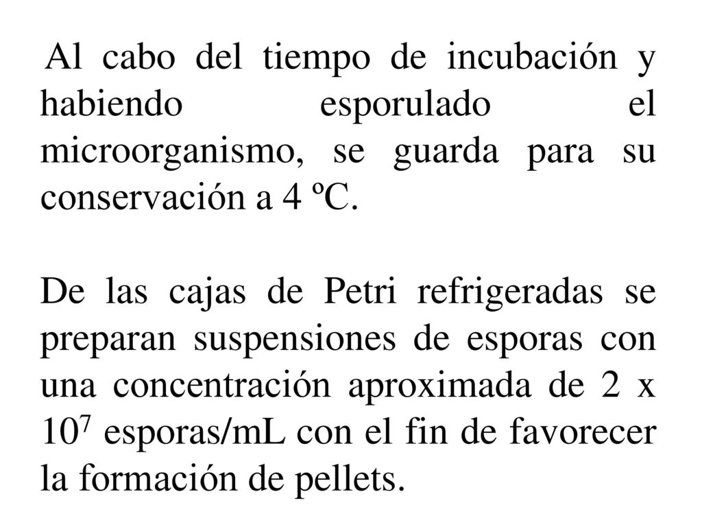 Al cabo del tiempo de incubación y habiendo esporulado el microorganismo, se guarda para su conservación a 4 ºC.