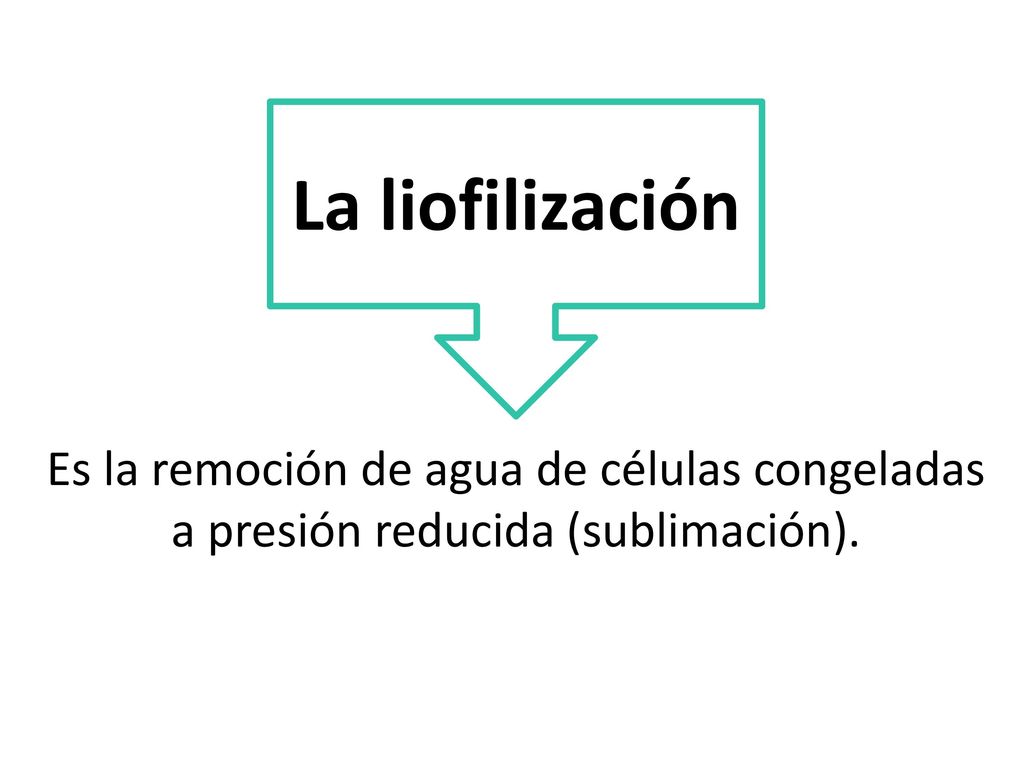 Es la remoción de agua de células congeladas a presión reducida (sublimación).