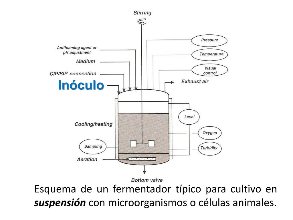 Inóculo Esquema de un fermentador típico para cultivo en suspensión con microorganismos o células animales.