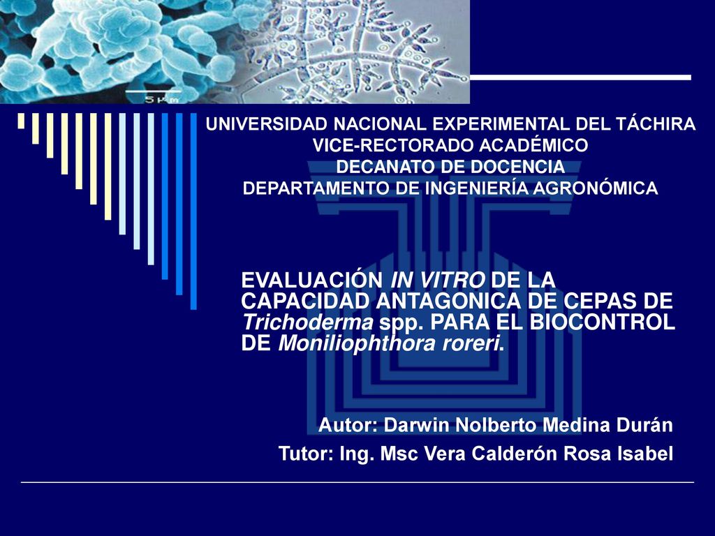 UNIVERSIDAD NACIONAL EXPERIMENTAL DEL TÁCHIRA VICE-RECTORADO ACADÉMICO DECANATO DE DOCENCIA DEPARTAMENTO DE INGENIERÍA AGRONÓMICA