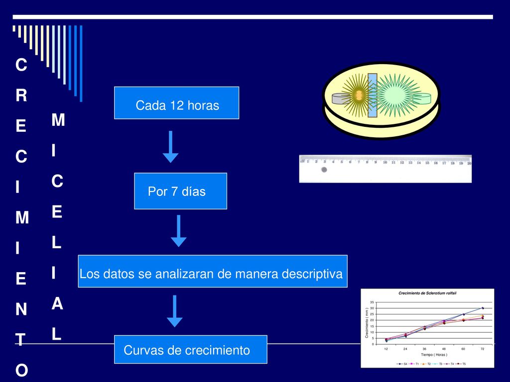 C R E I M I M C E L N T A O Cada 12 horas Por 7 días