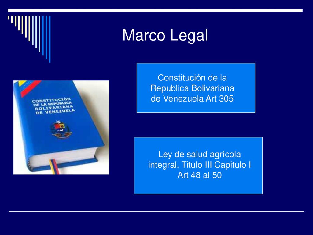 Marco Legal Constitución de la Republica Bolivariana de Venezuela Art 305.