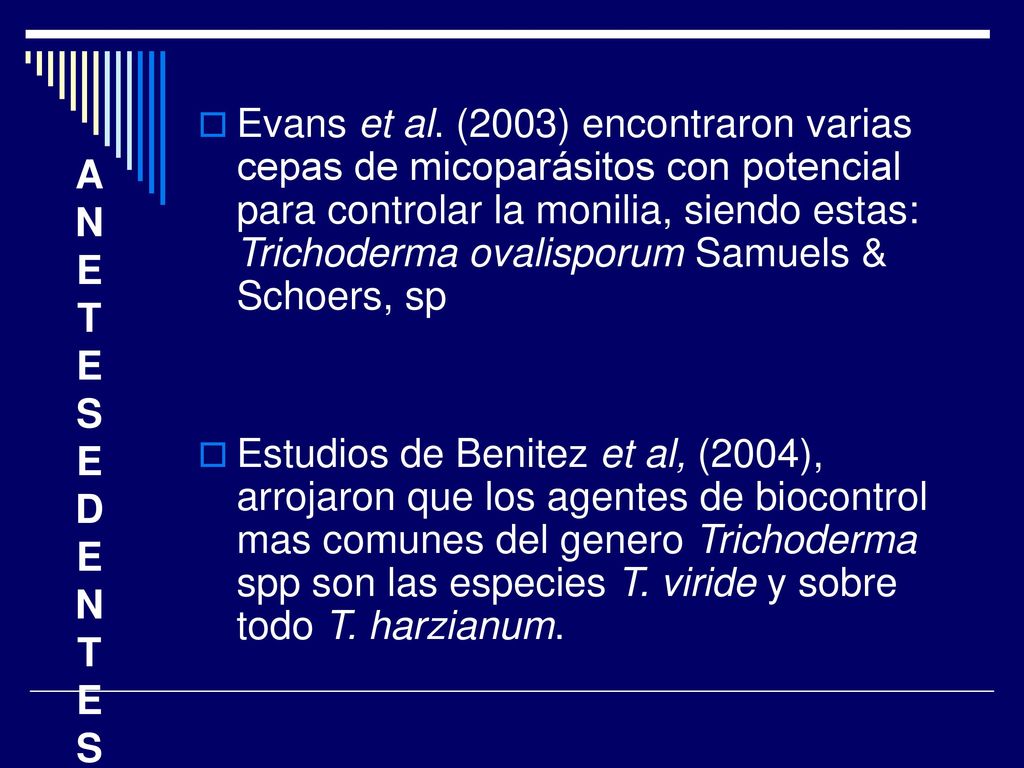 Evans et al. (2003) encontraron varias cepas de micoparásitos con potencial para controlar la monilia, siendo estas: Trichoderma ovalisporum Samuels & Schoers, sp