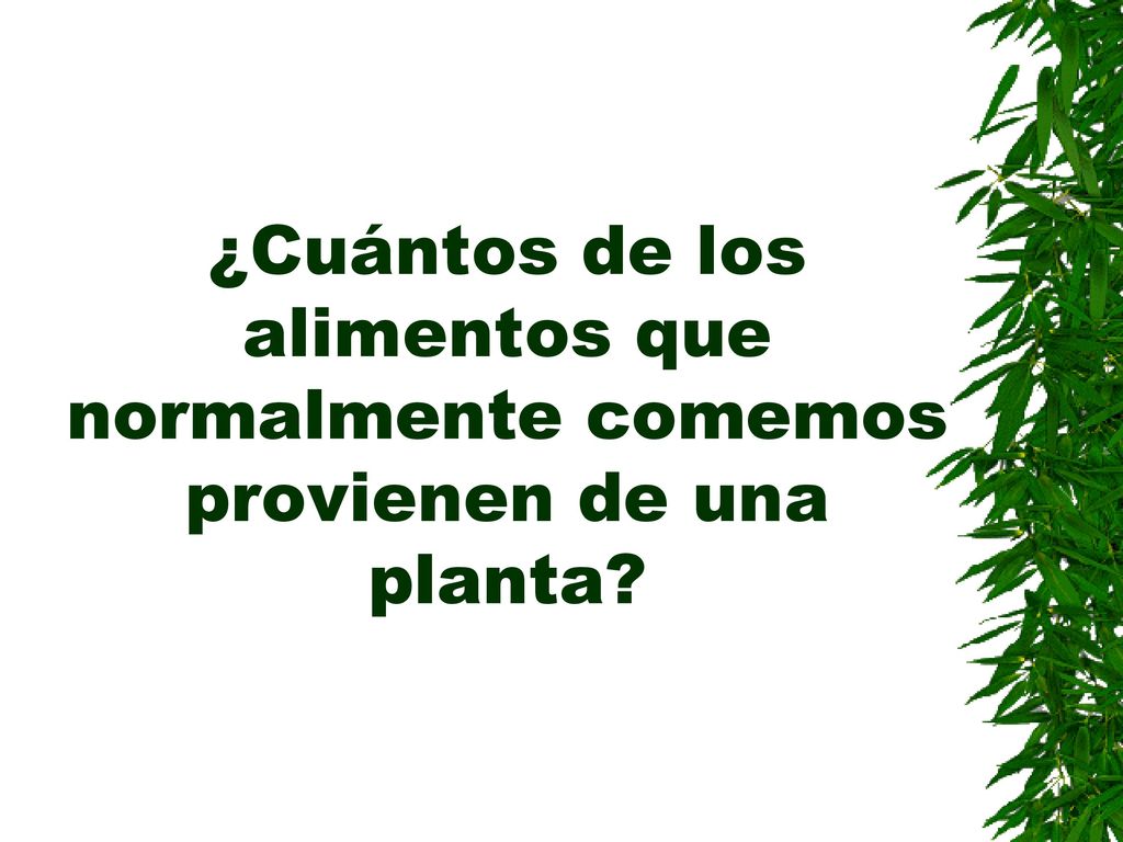 ¿Cuántos de los alimentos que normalmente comemos provienen de una planta