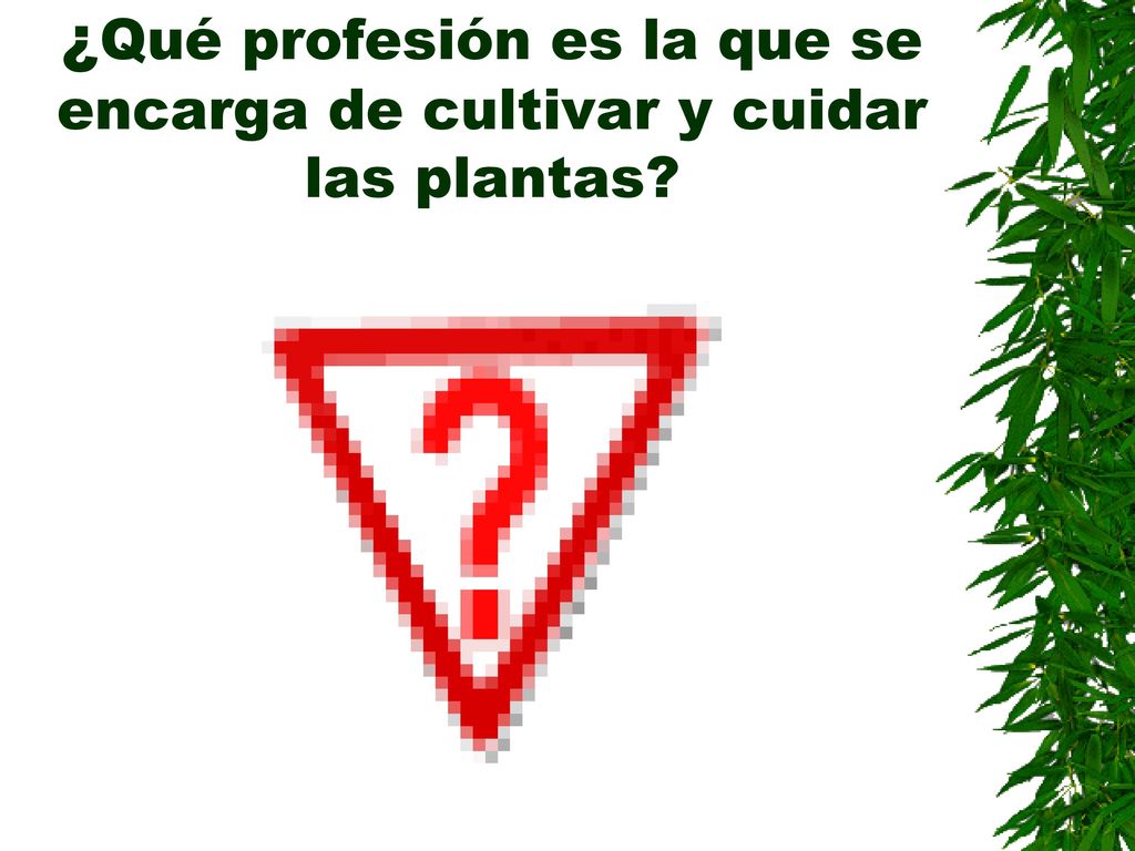 ¿Qué profesión es la que se encarga de cultivar y cuidar las plantas