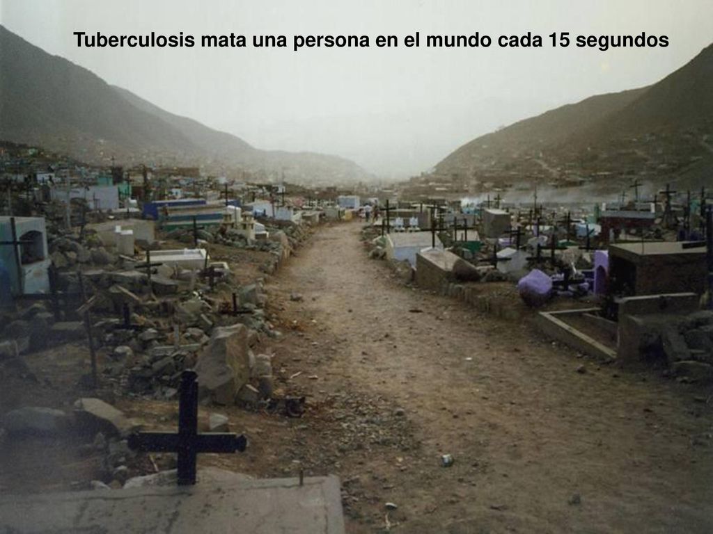 Tuberculosis mata una persona en el mundo cada 15 segundos