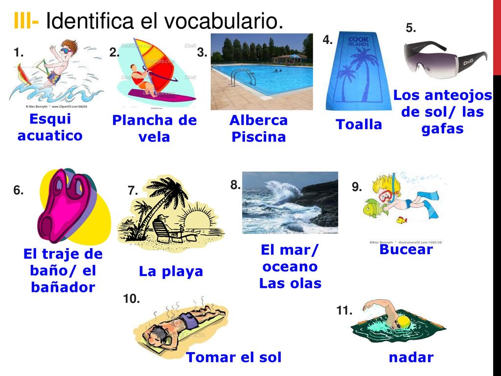 Los anteojos de sol/ las gafas El traje de baño/ el bañador