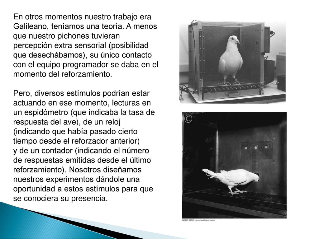 En otros momentos nuestro trabajo era Galileano, teníamos una teoría