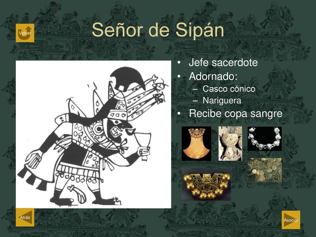 Señor de Sipán Jefe sacerdote Adornado: Recibe copa sangre