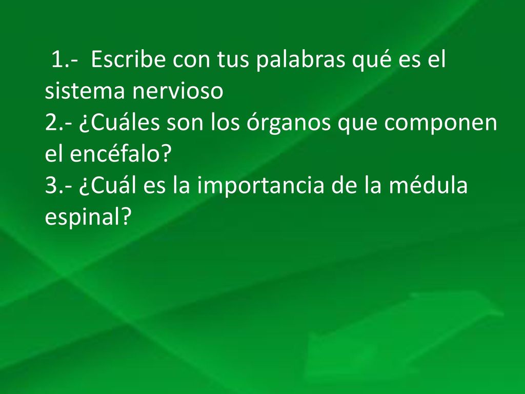 1.- Escribe con tus palabras qué es el sistema nervioso