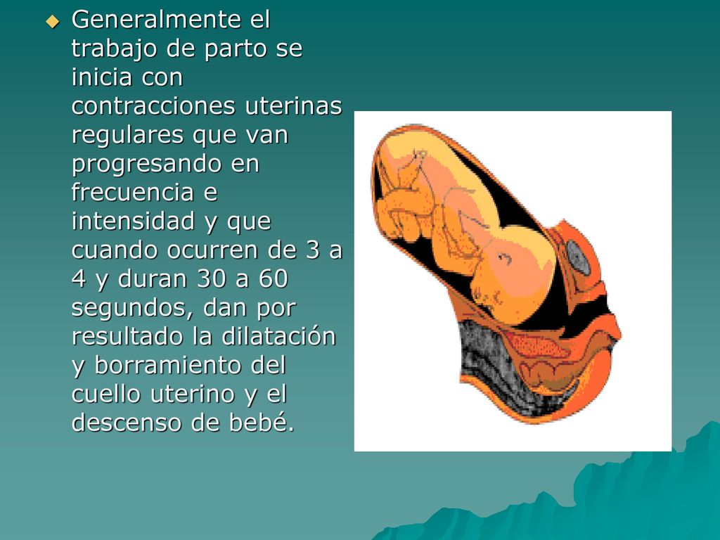 Generalmente el trabajo de parto se inicia con contracciones uterinas regulares que van progresando en frecuencia e intensidad y que cuando ocurren de 3 a 4 y duran 30 a 60 segundos, dan por resultado la dilatación y borramiento del cuello uterino y el descenso de bebé.