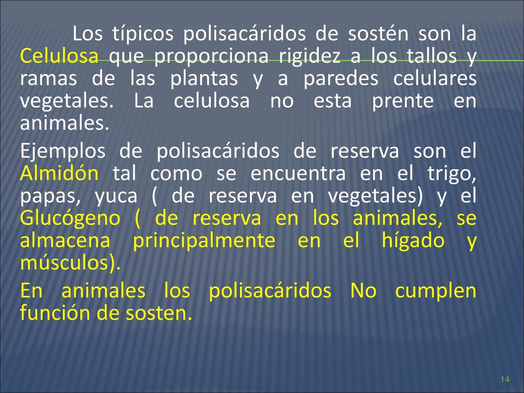 Los típicos polisacáridos de sostén son la Celulosa que proporciona rigidez a los tallos y ramas de las plantas y a paredes celulares vegetales.