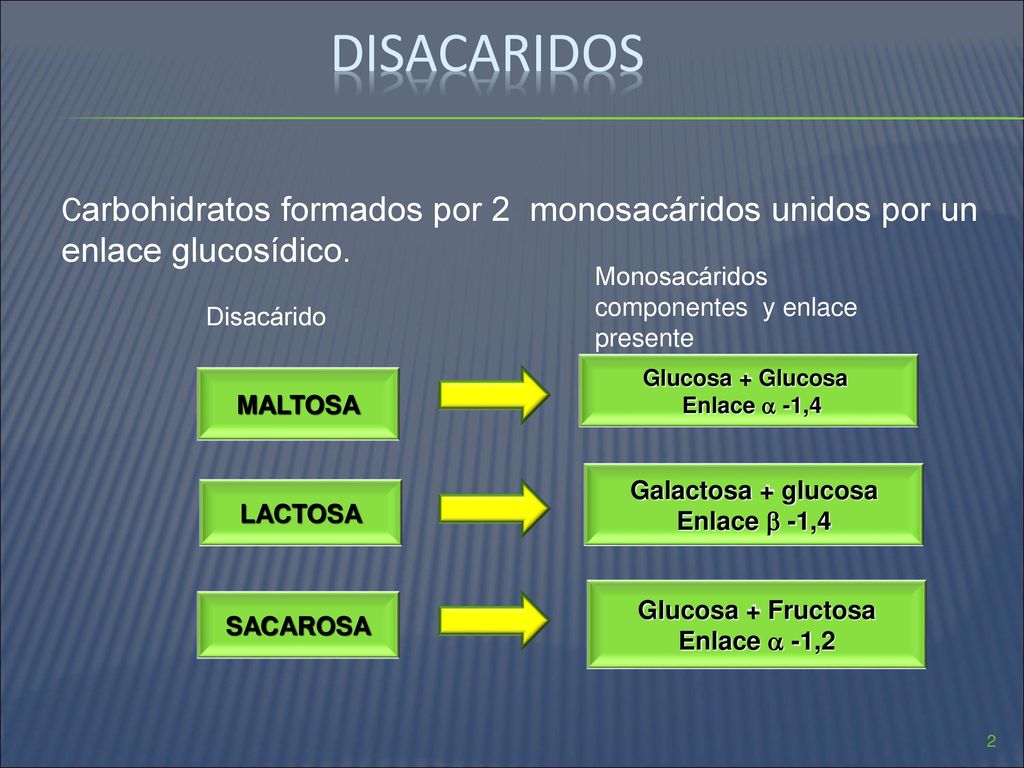 disacaridos Carbohidratos formados por 2 monosacáridos unidos por un enlace glucosídico. Monosacáridos componentes y enlace presente.