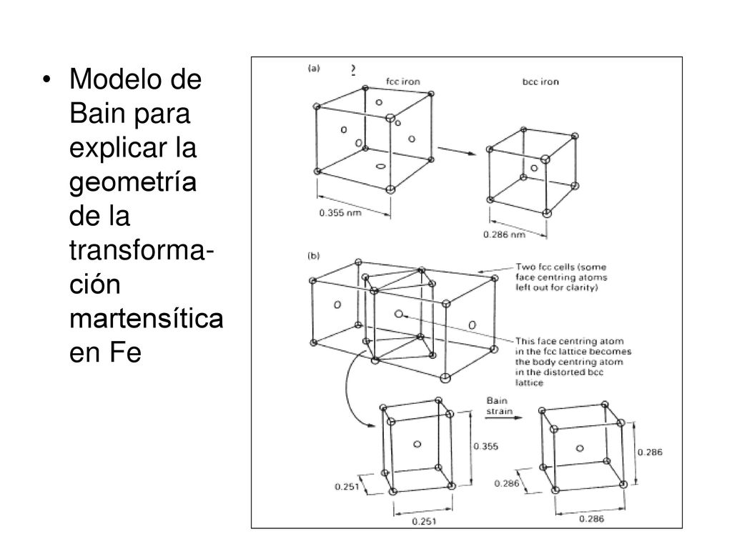 Modelo de Bain para explicar la geometría de la transforma-ción martensítica en Fe