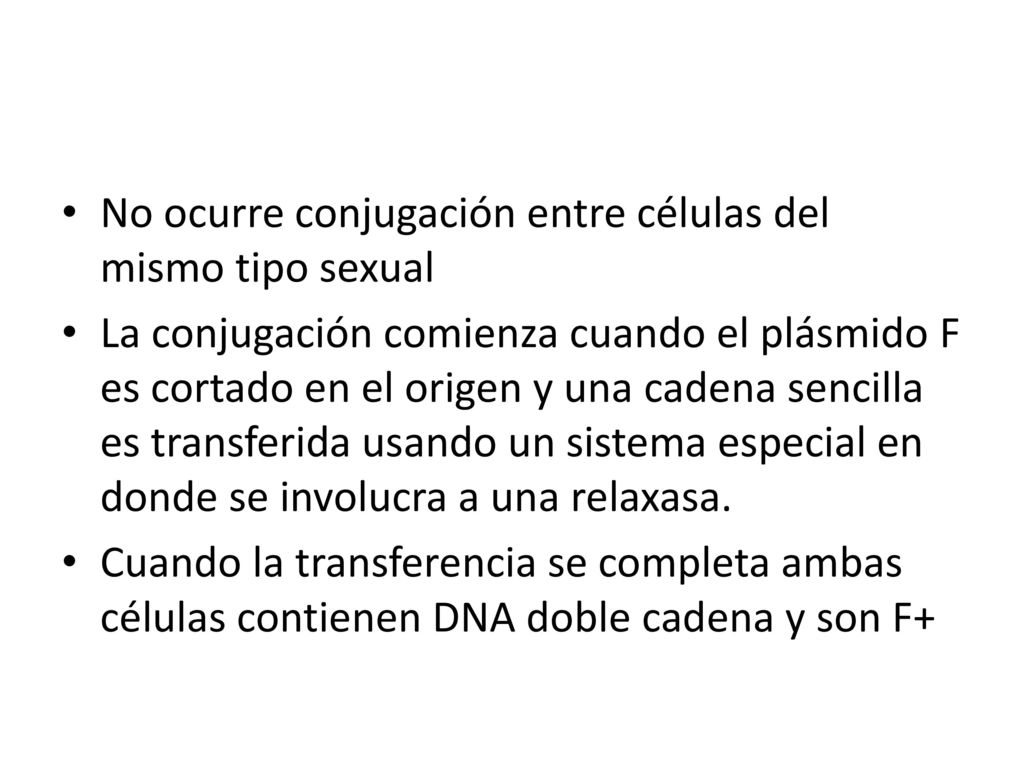 No ocurre conjugación entre células del mismo tipo sexual