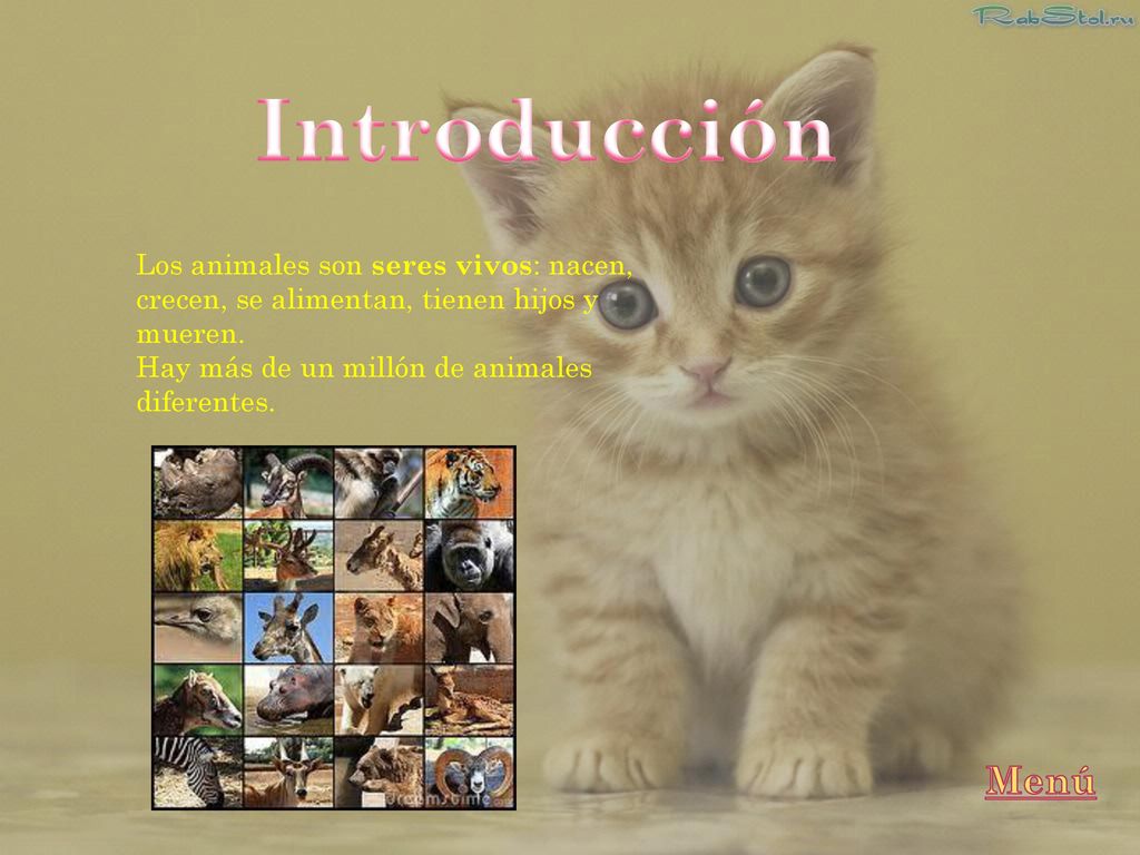 Introducción Los animales son seres vivos: nacen, crecen, se alimentan, tienen hijos y mueren. Hay más de un millón de animales diferentes.