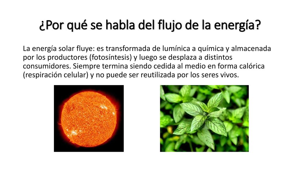 ¿Por qué se habla del flujo de la energía