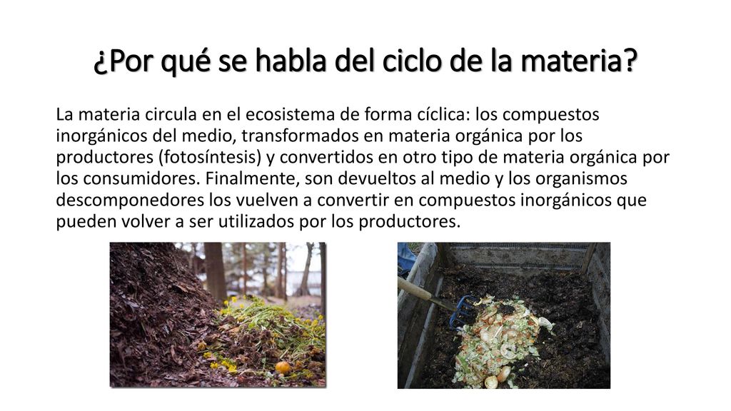 ¿Por qué se habla del ciclo de la materia