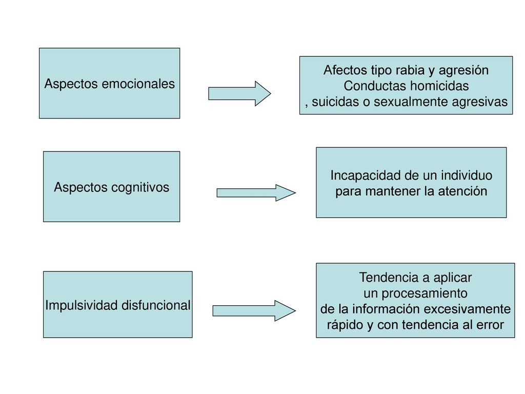 Afectos tipo rabia y agresión Conductas homicidas
