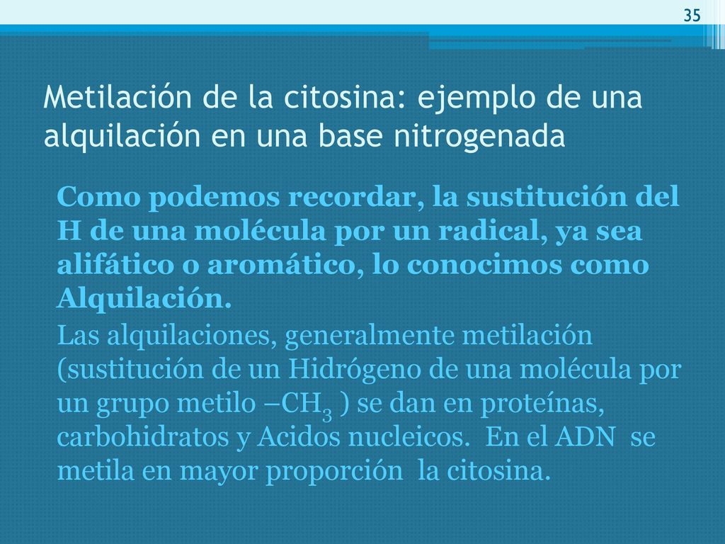 Metilación de la citosina: ejemplo de una alquilación en una base nitrogenada