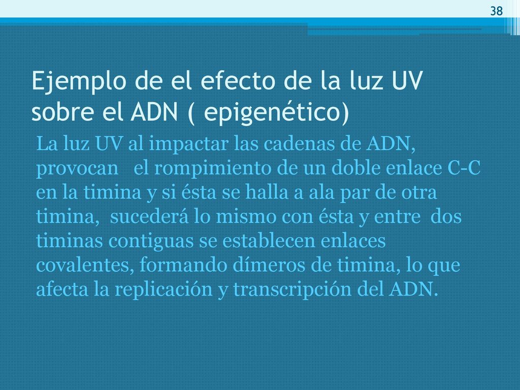 Ejemplo de el efecto de la luz UV sobre el ADN ( epigenético)