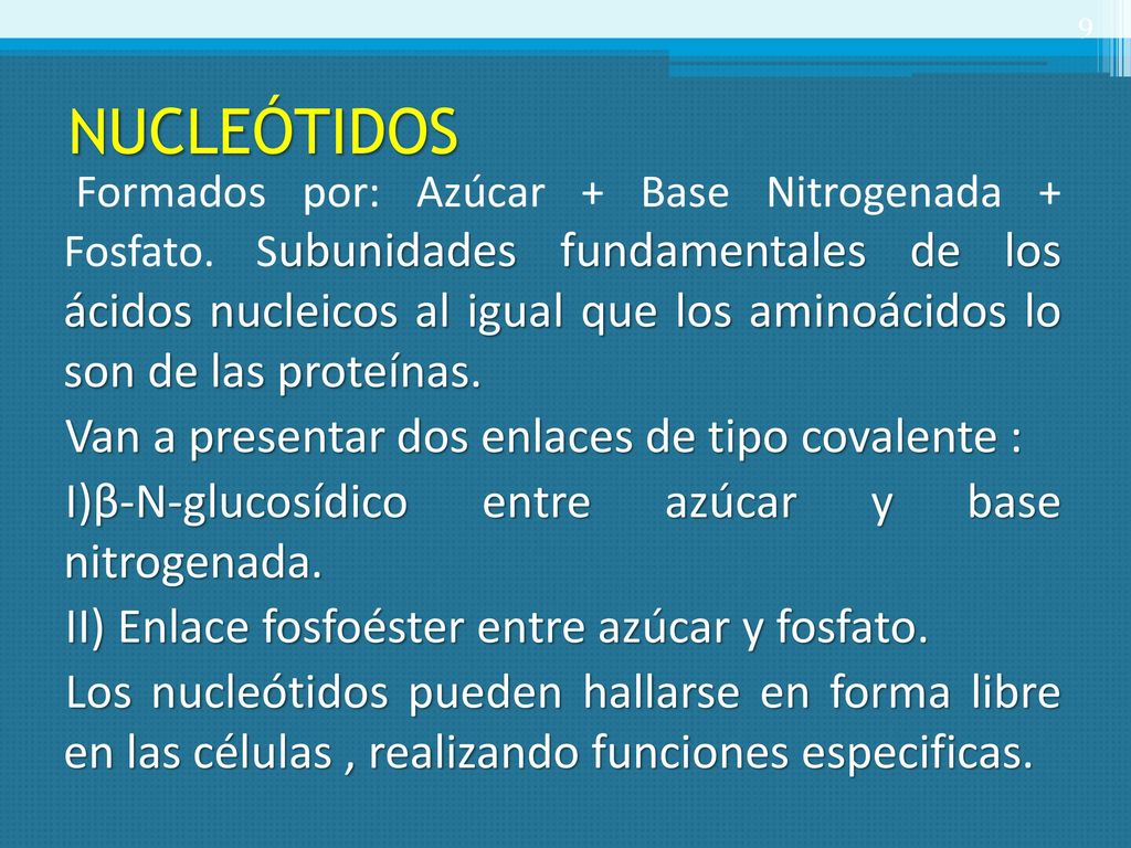 NUCLEÓTIDOS Van a presentar dos enlaces de tipo covalente :
