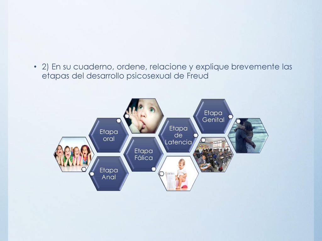 2) En su cuaderno, ordene, relacione y explique brevemente las etapas del desarrollo psicosexual de Freud