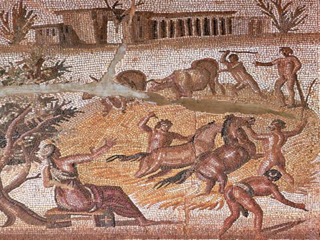 OCIO Y TIEMPO LIBRE Los negocios y visitas ocupaban el tiempo de un ciudadano romano. Actividades más prestigiosas: