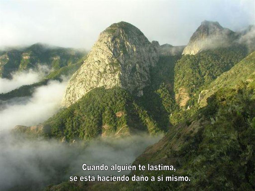 Cuando alguién te lastima, se está haciendo daño a si mismo.